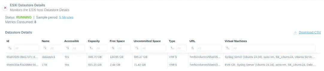 VMware ESXi Datastore